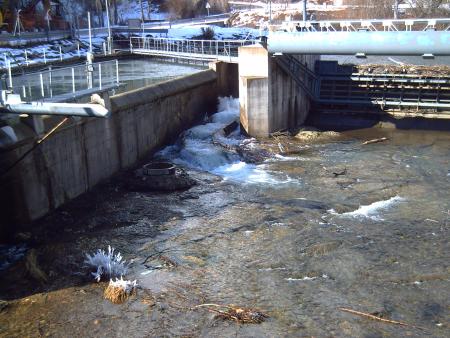 Caudal Ecológico...aquí hay Gato